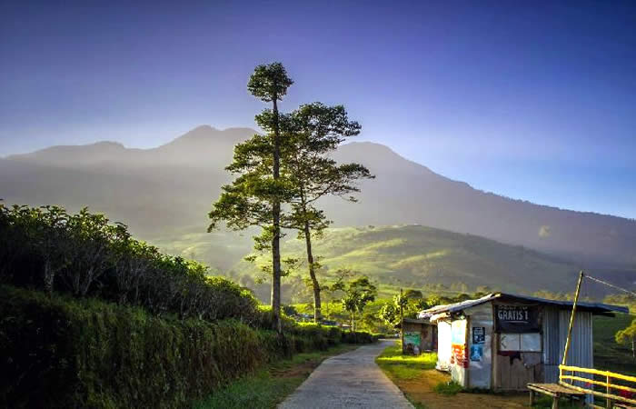 Kami menyediakan layanan airport transfer atau antar jemput Bandara Internasional Juanda Surabaya ke Karanganyar, Jawa Tengah dan seluruh kota di Jawa Timur, Bali, Jawa Tengah, Yogyakarta (DIY), Jawa Barat, DKI Jakarta, Banten, sewa dan carter mobil Toyota Avanza 5 seater, Toyota Innova 6 seater, Toyota Hiace 14 seater.