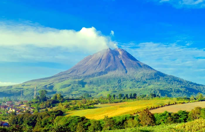 Kami menyediakan layanan airport transfer atau antar jemput Bandara Internasional Juanda Surabaya ke seluruh kota di Jawa Timur, Bali, Jawa Tengah, Yogyakarta (DIY), Jawa Barat, DKI Jakarta, Banten, sewa dan carter mobil Toyota Avanza 5 seater, Toyota Innova 6 seater, Toyota Hiace 14 seater.