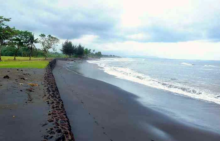 Kami menyediakan layanan airport transfer atau antar jemput Bandara Internasional Juanda Surabaya ke Saba, Bali dan seluruh kota di Jawa Timur, Bali, Jawa Tengah, Yogyakarta (DIY), Jawa Barat, DKI Jakarta, Banten, sewa dan carter mobil Toyota Avanza 5 seater, Toyota Innova 6 seater, Toyota Hiace 14 seater.